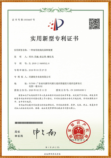 Certificate Of Honor