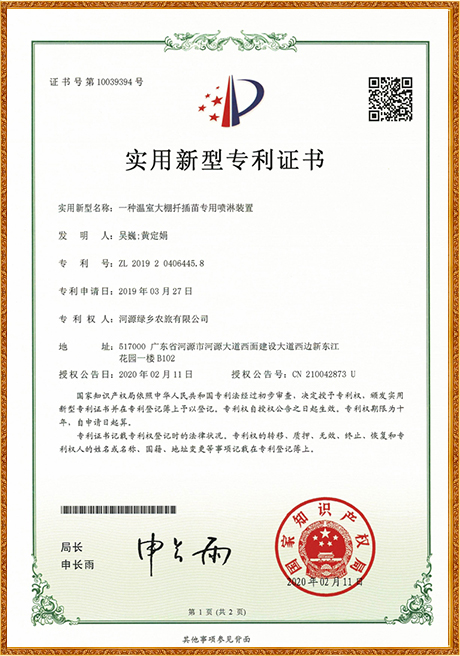 Certificate Of Honor